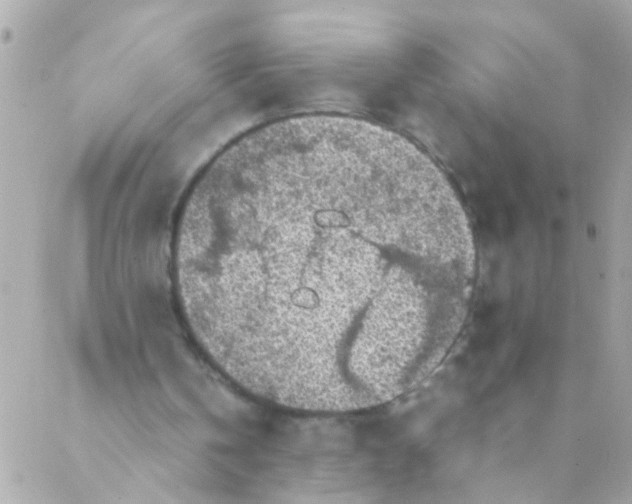 X0000088230146200706051356