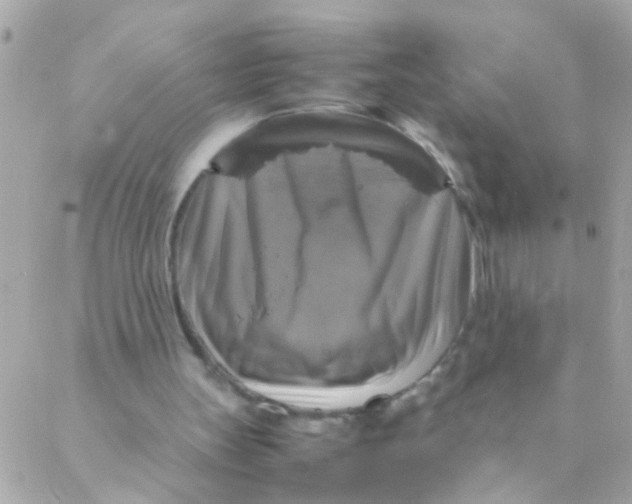 X0000088230147200706051356