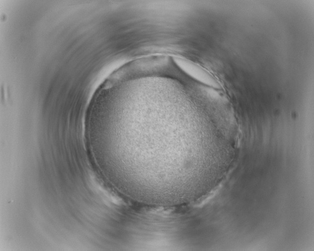 X0000088230148200706051356