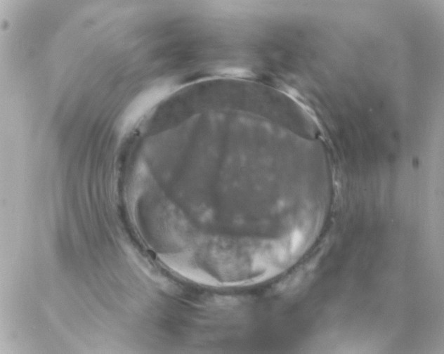 X0000088230149200706051356