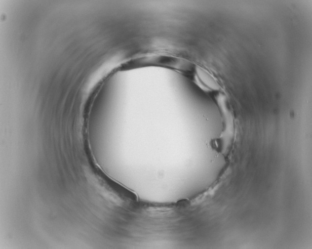 X0000088230150200706051356