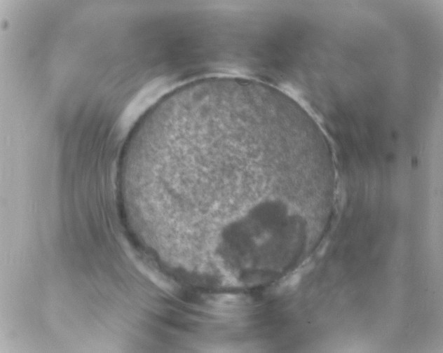 X0000088230151200706051356