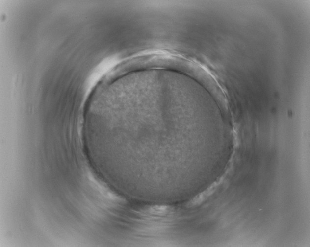 X0000088230152200706051356