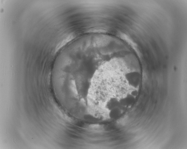 X0000088230153200706051356