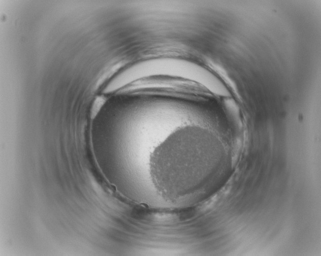 X0000088230154200706051356