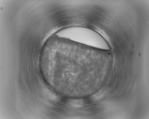 X0000088230155200706051356