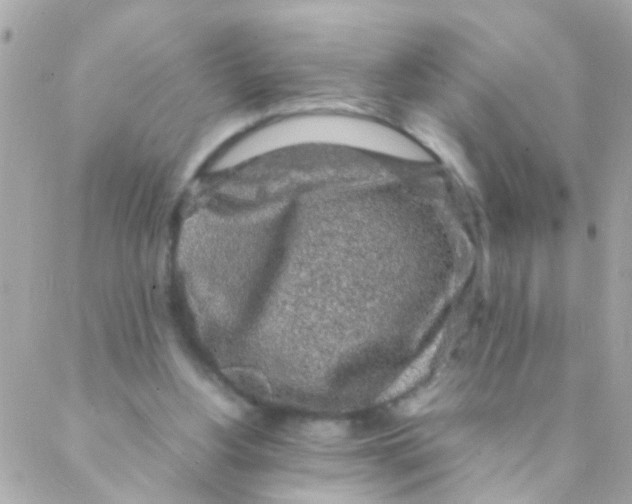 X0000088230156200706051356