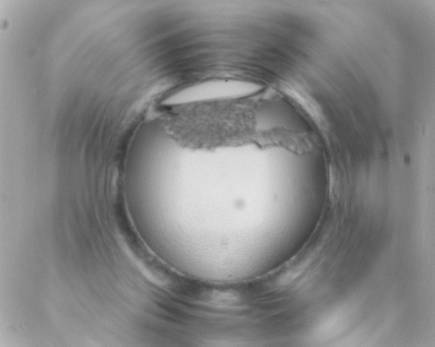 X0000088230157200706051356