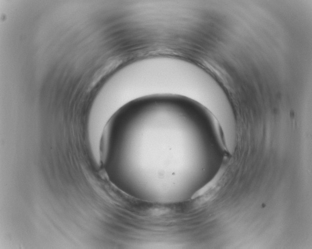 X0000088230158200706051356