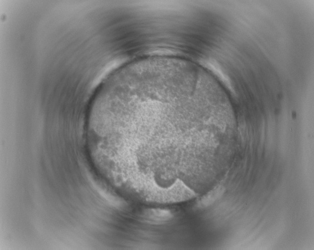 X0000088230159200706051356