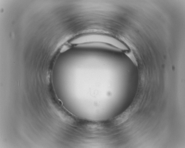 X0000088230160200706051356