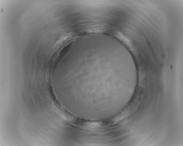 X0000088230161200706051357