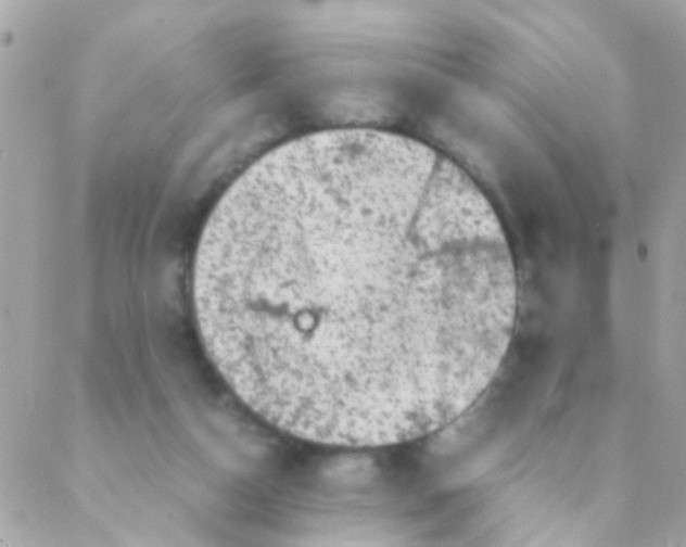 X0000088230162200706051357