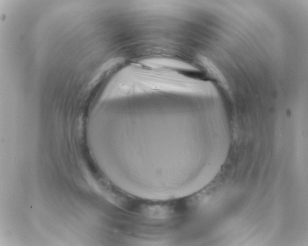 X0000088230163200706051357