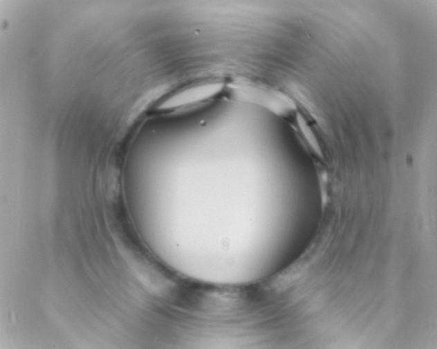 X0000088230164200706051357