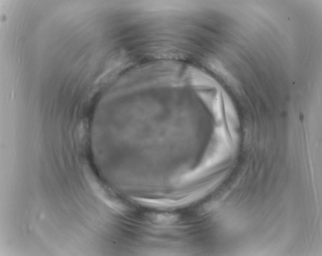 X0000088230165200706051357