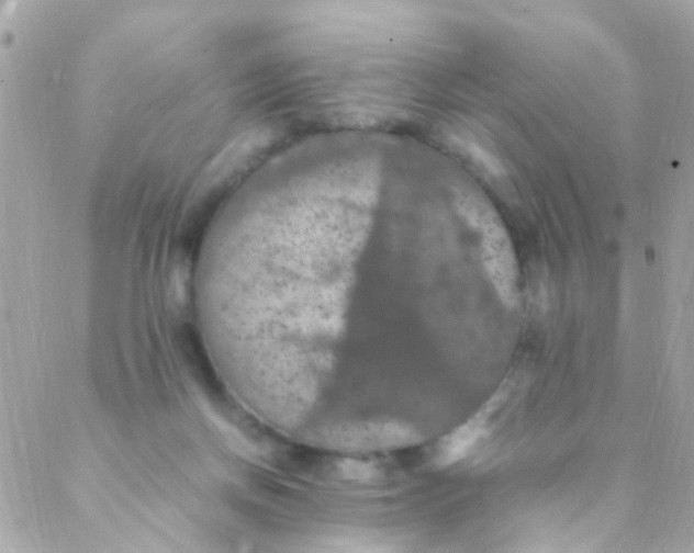 X0000088230166200706051357