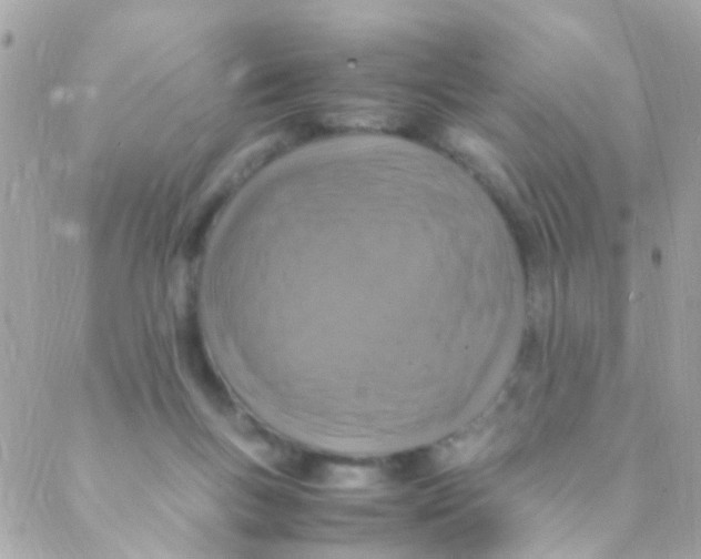 X0000088230167200706051357