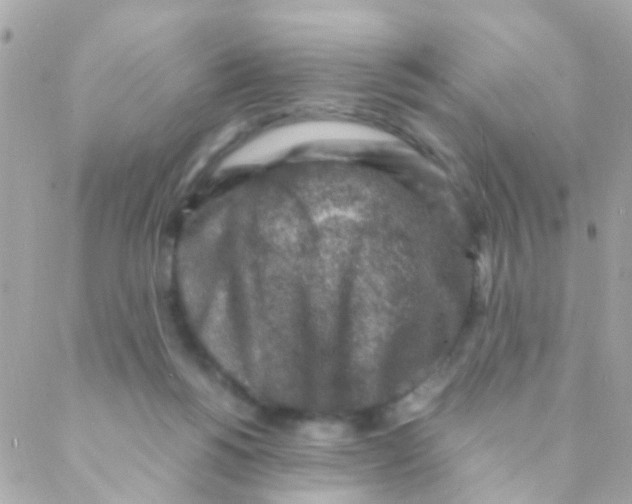 X0000088230168200706051357