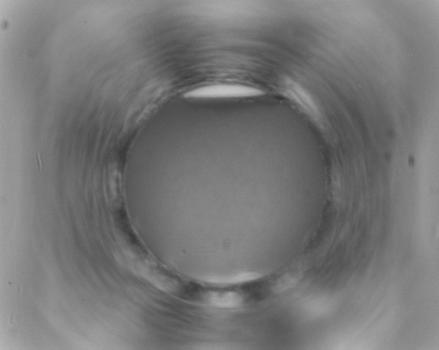 X0000088230169200706051357