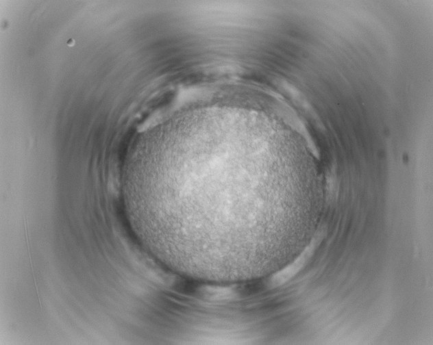 X0000088230170200706051357