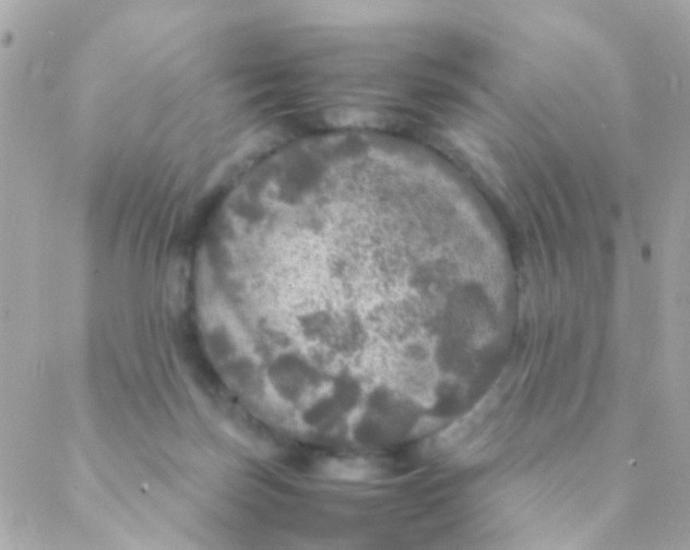 X0000088230171200706051357