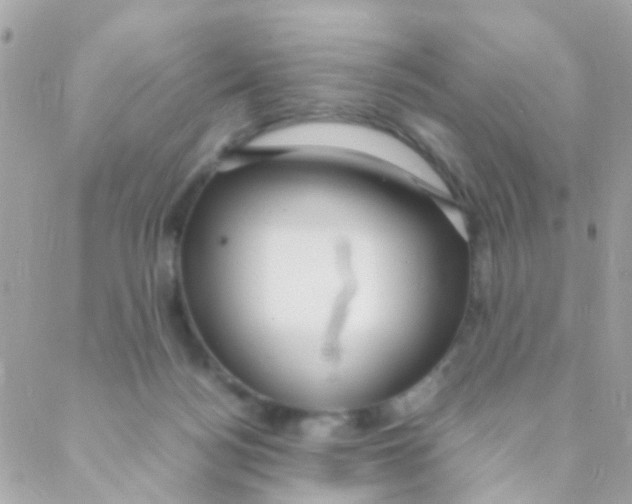 X0000088230172200706051357