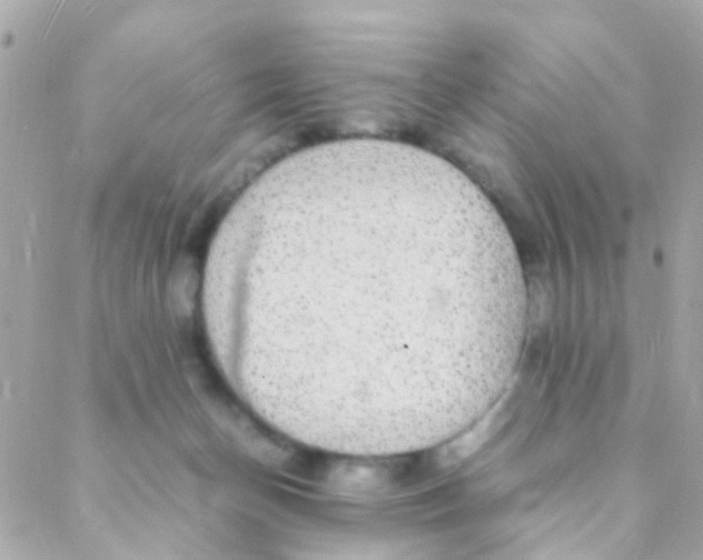 X0000088230174200706051357