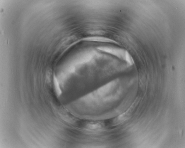 X0000088230175200706051357