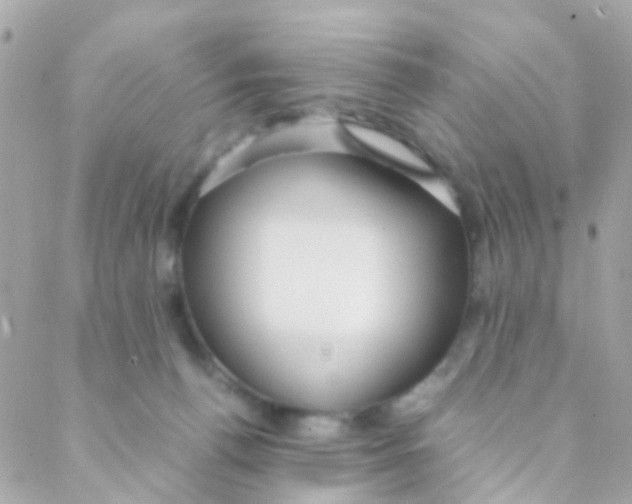 X0000088230176200706051357