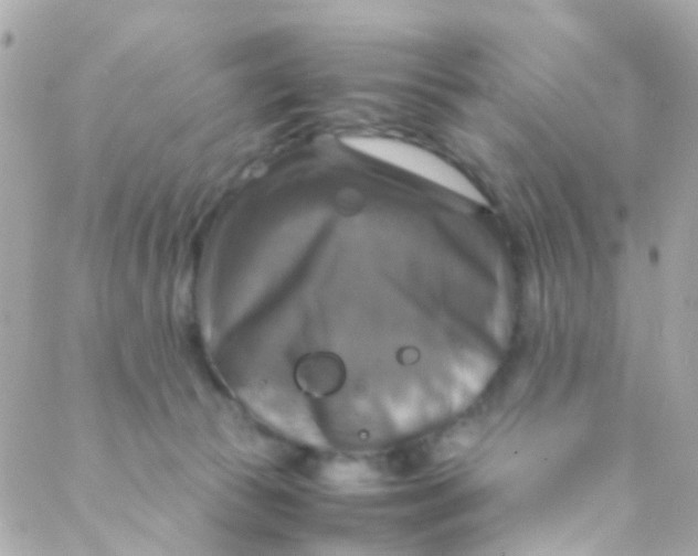 X0000088230177200706051357