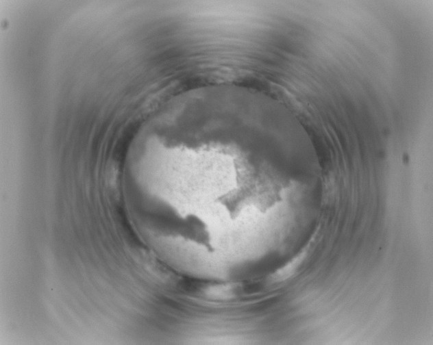 X0000088230178200706051357