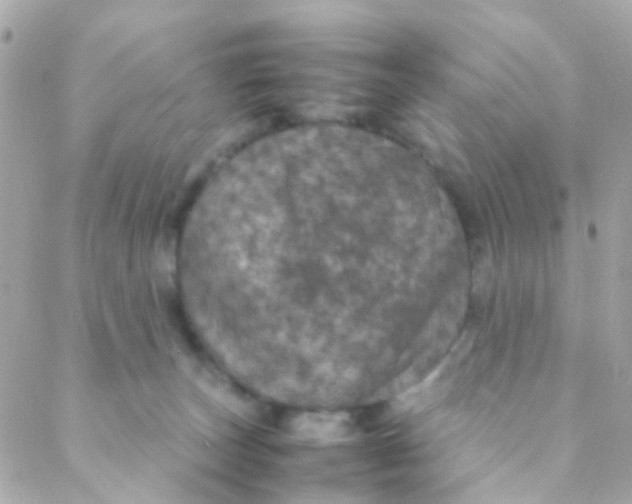 X0000088230179200706051357