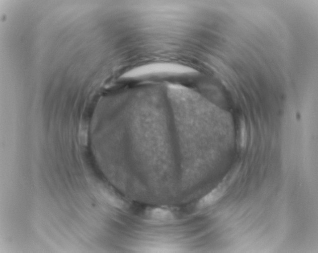 X0000088230180200706051357