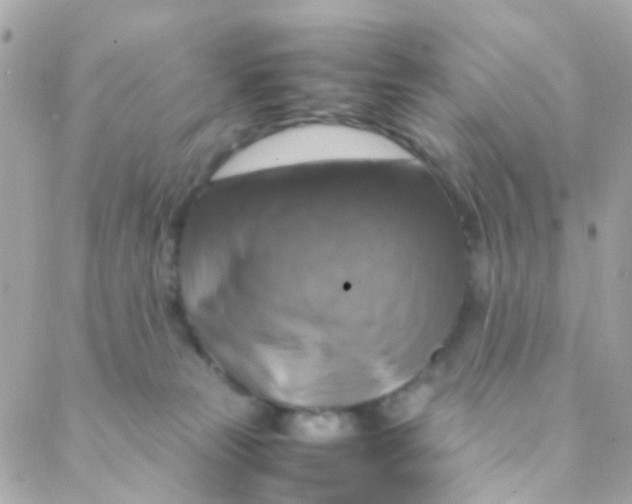 X0000088230181200706051357