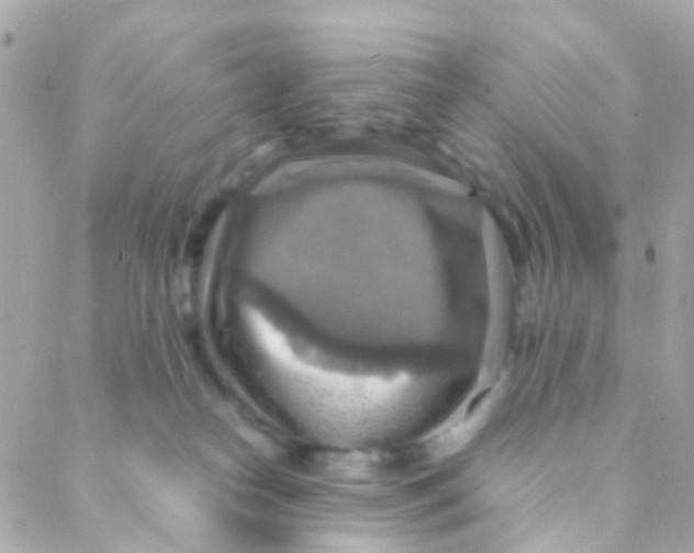 X0000088230182200706051357