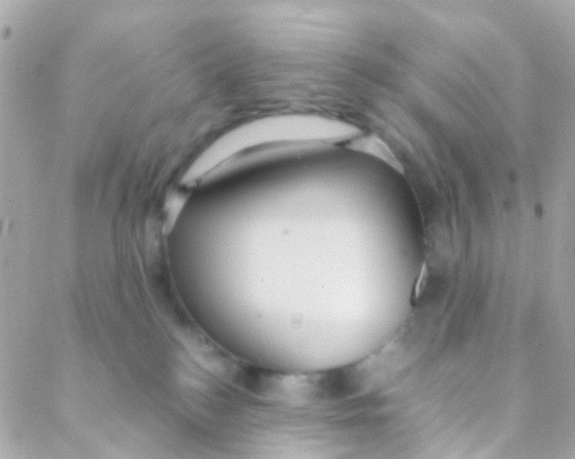 X0000088230184200706051357