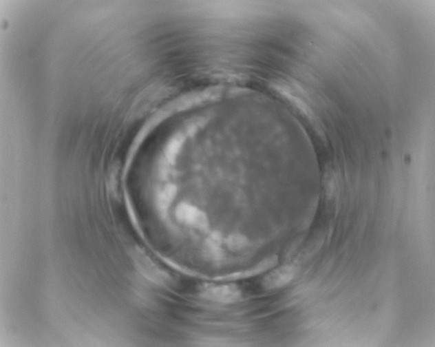 X0000088230185200706051357