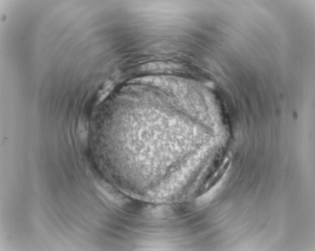 X0000088230186200706051357