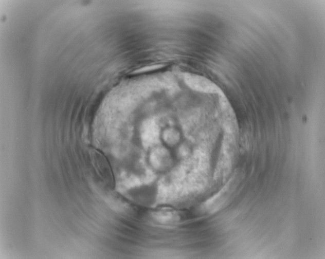 X0000088230187200706051357