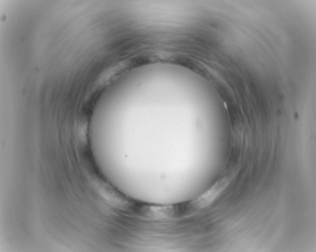 X0000088230188200706051357