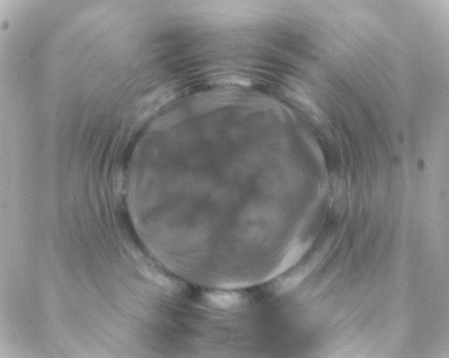 X0000088230189200706051357