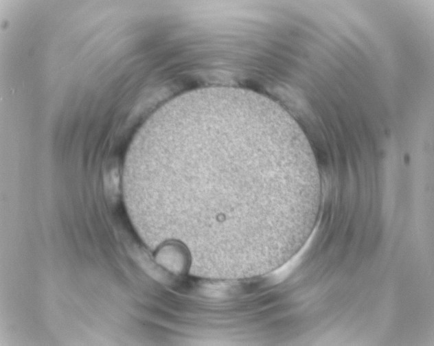 X0000088230190200706051357