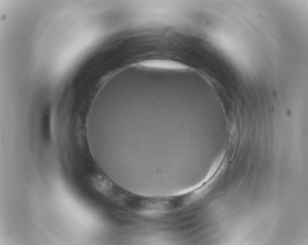 X0000088230191200706051357