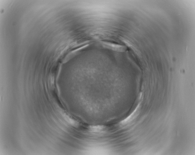 X0000088230192200706051357