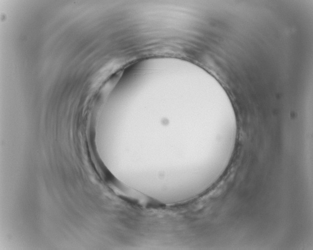 X0000088230193200706051356