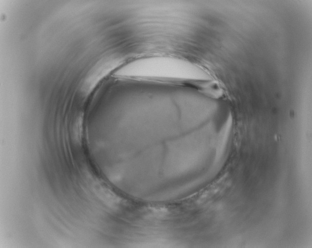 X0000088230194200706051356