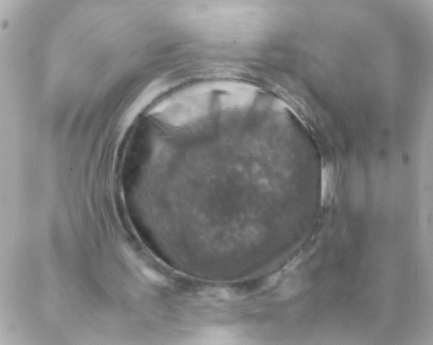 X0000088230195200706051356