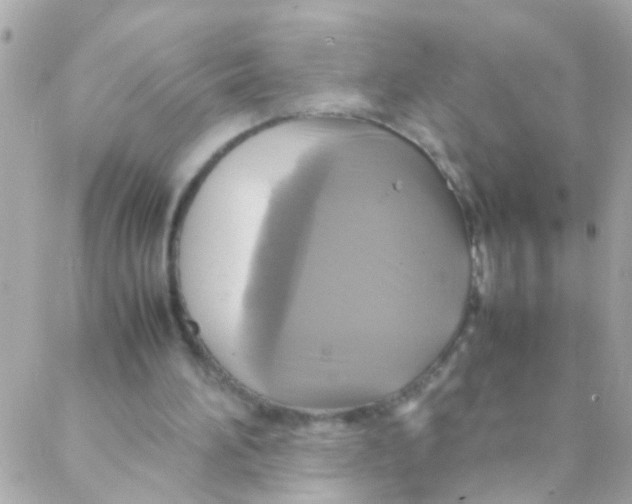 X0000088230196200706051356