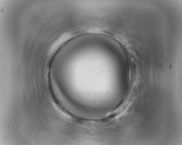 X0000088230197200706051356